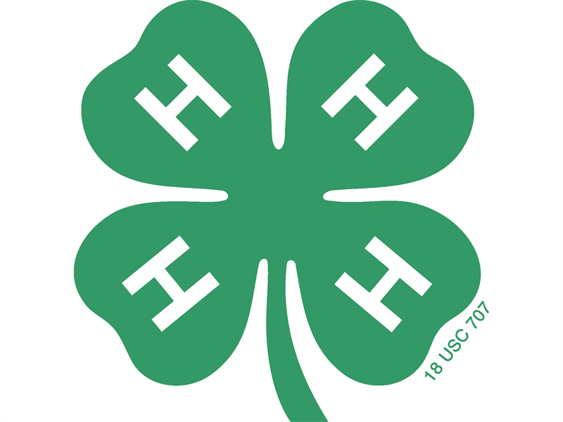 Logo for 2026 District 2 Horse Shows